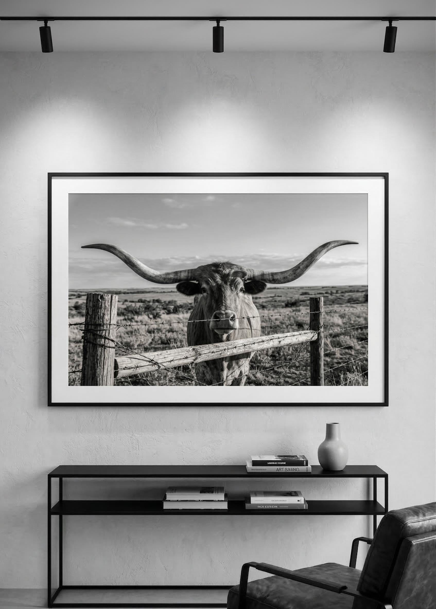 Laser files for a longhorn cow